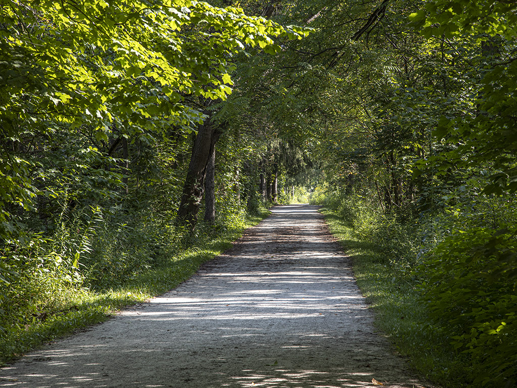 Path to Beaver Marsh viewing platform (R1971013)