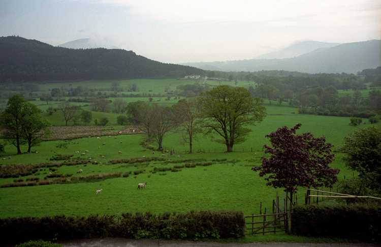 The view from our room at the Stoneycroft B&B