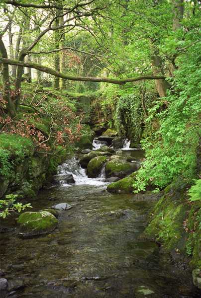 A lovely scene in Buttermere a few miles from the Stoneycroft B&B