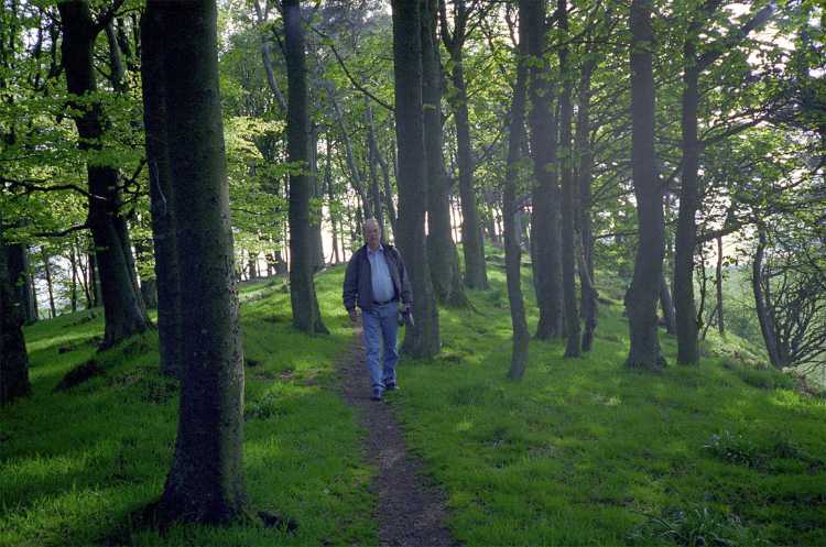 A path behind the Sewing Shields B&B