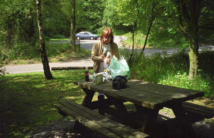 We stopped for lunch at Toytop Park