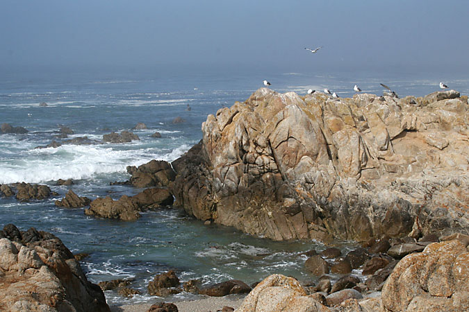 G3189 - The rocky shore in Pacific Grove