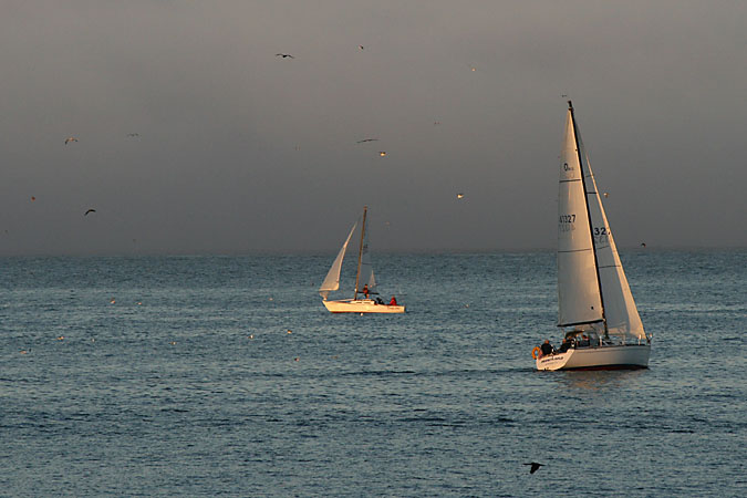 G3215 - Sails in the sunset on Monterey Bay