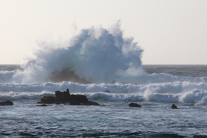 G4055 - Point Pinos in Pacific Grove