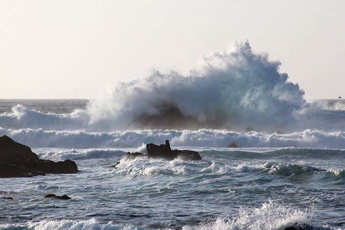 G4061 - Point Pinos in Pacific Grove