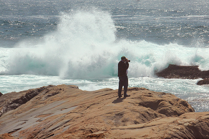 G4084 - Point Lobos