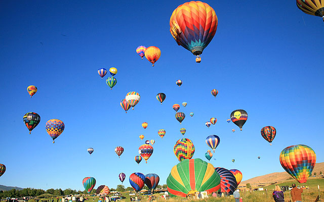 I count 48 balloons in this picture. That means you are looking at about one-million dollars worth of balloons.