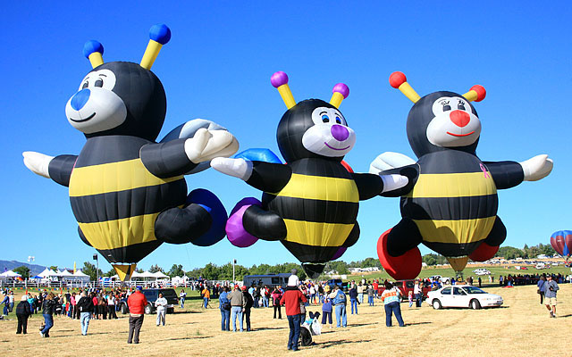 "The Little Bees"	were raising money for charity by offering tethered rides for a $5 donation to "The Children's Miracle Network." They have their own website (TheLittleBees.com) and are on Facebook! Left to right they are Lilly, Joelly and Joey.