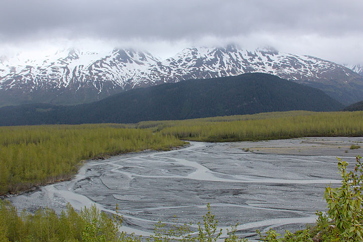 Exit Glacier outwash area [k210_t3i_0856]