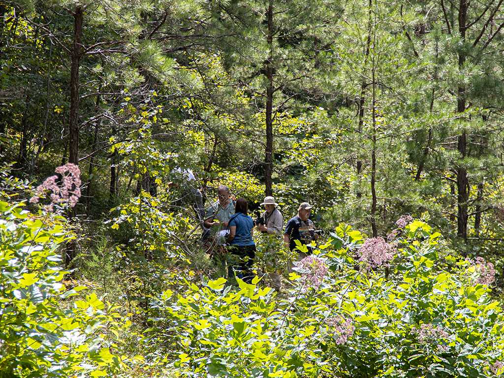 Some workshop members wandered a few feet off the road in search of photo subjects. EF24-105mm  @ 105mm f/5 @ 1/2000 ISO 800(R1497)