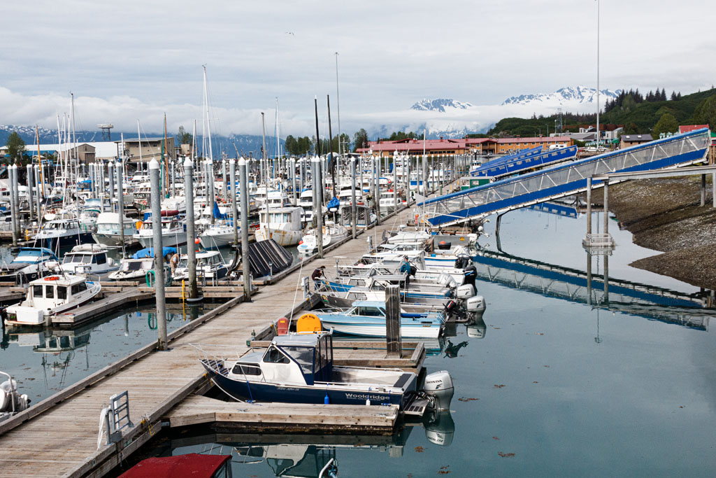 Valdez harbor [T3i_0478]