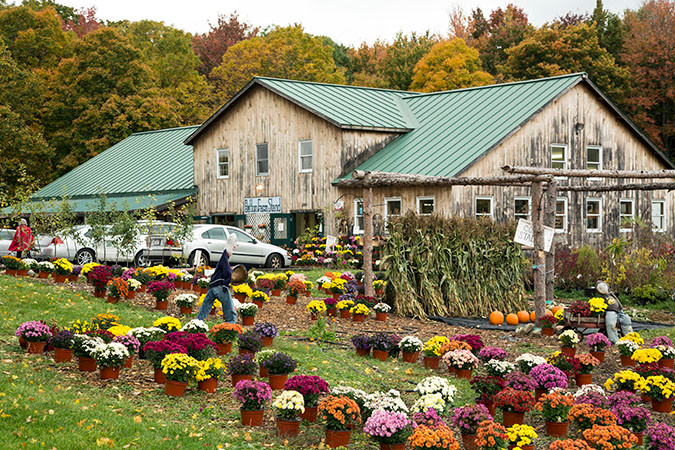 Dutton Farm Shed on Route 30 in Newfane, Vermont.