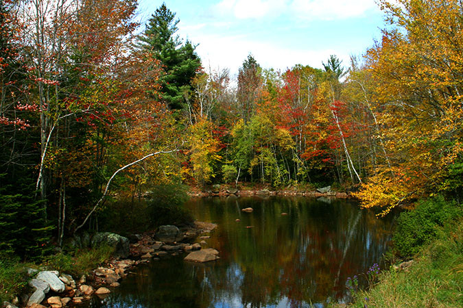 Lefferts Pond area by Geri