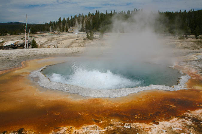 Crested Pool with Sawmill Geyser in the background [05D_5033.jpg]