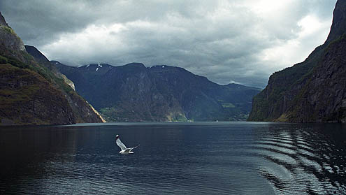 Fjord